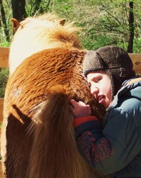 Prise de contact avec le cheval